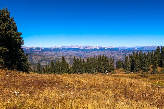 4 Hours Durango Colorado - Jeep Tour - Restrictions and Recommendations