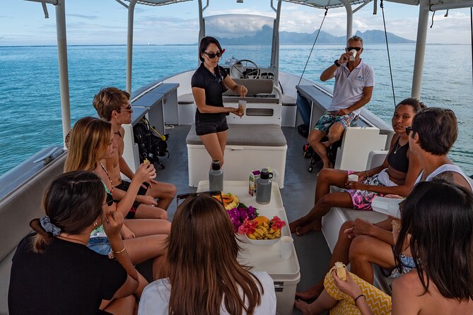 4 Hours of Humpback Whale Watching in Tahiti - Common Questions