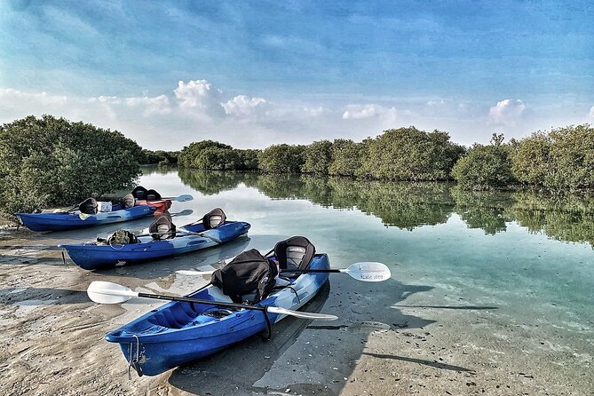 4 Hours Purple Island Mangroves Kayaking Adventure in Qatar - Questions and Support for the Purple Island Mangroves Kayaking Adventure