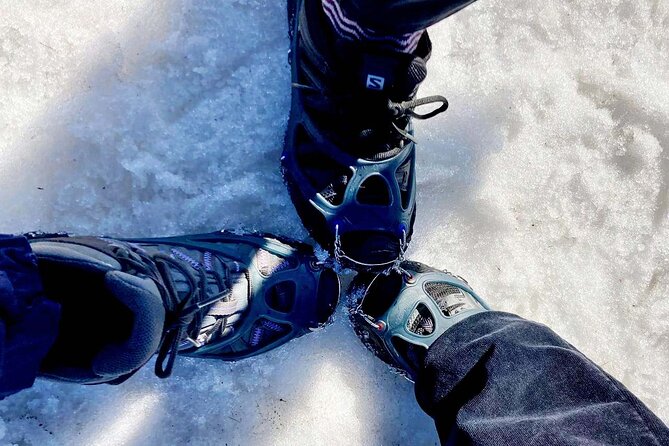 4 Hours Winter View of the Oslofjord Walk Tour - What to Expect on the 4-hour Winter View Tour