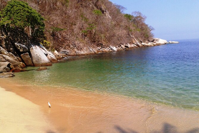 4 Hrs Private Trip: Snorkeling at Los Arcos and Colomitos - Meeting Point and Refund Policy