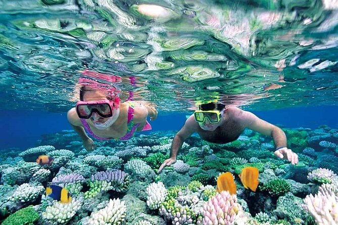 4-Island Visit From Phu Quoc With Speedboat and Scuba Diving - Indulge in Delicious Local Seafood