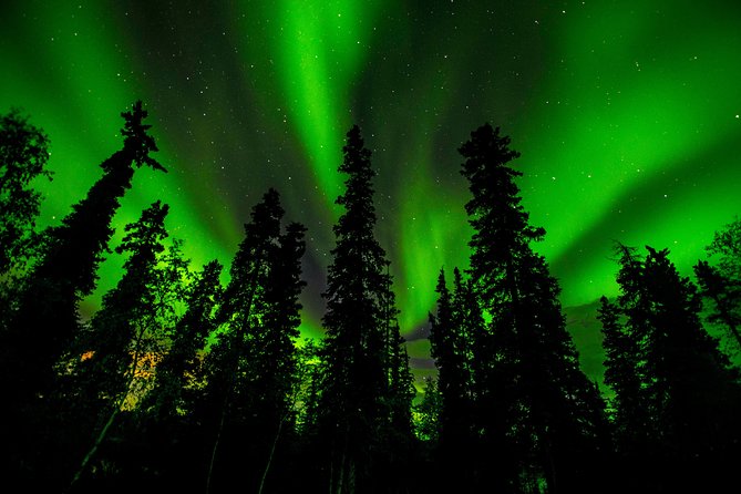 4- to 6-Hour Northern Lights Tour From Yellowknife - Tour Experience and Feedback