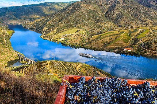5 Days Private Tour in Portugal From Lisbon - Douro Valley: Wine Tasting and Scenic Landscapes
