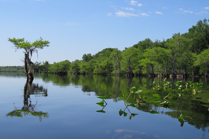 5 Hours Lake Norris Kayak Activity With Lunch - How to Cancel or Make Changes to Your Booking?