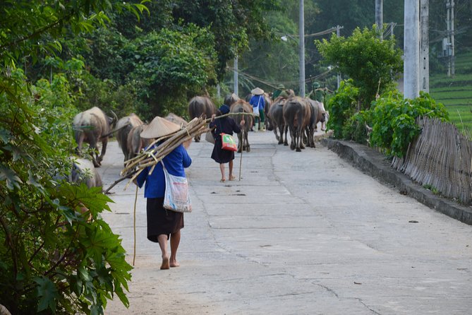 6-Day off the Beaten Track Tour of North Vietnam From Hanoi - Traveler Reviews