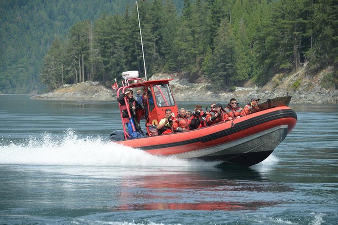 7-8 Hour Zodiac Whale Watching Tour - Meeting and Pickup