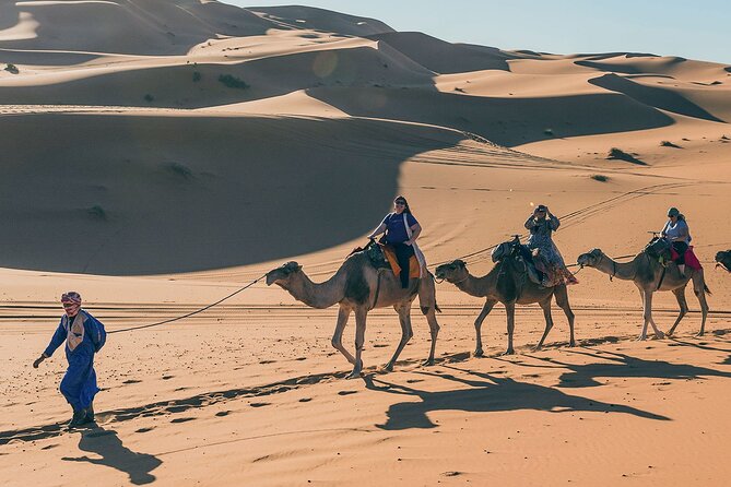 7 Days Luxury Desert Tour From Casablanca to Marrakech via Fez -Camel Trekking - Camel Trekking Experience
