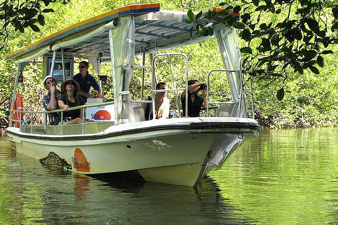 8-Day Cairns Tour: Great Barrier Reef, Kuranda, Daintree Rainforest - Reviews