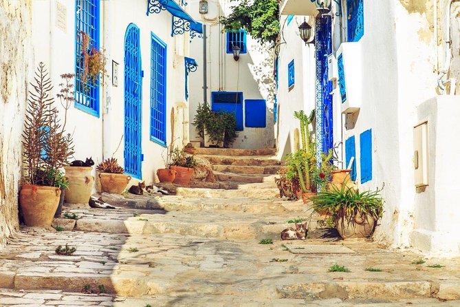 8 Days Immersive Tunisia With Dougga and Sidi Bou Said From Tunis - Day 5: Discover Sidi Bou Said, the Blue and White Village