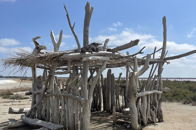 8 Hours Visit to the Camargue and the Salins D'Aigues-Mortes - The Camargue: A Natural Paradise