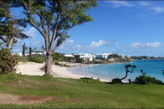 A Bermuda Island Experience With Beach Stop - Tour Feedback and Recommendations