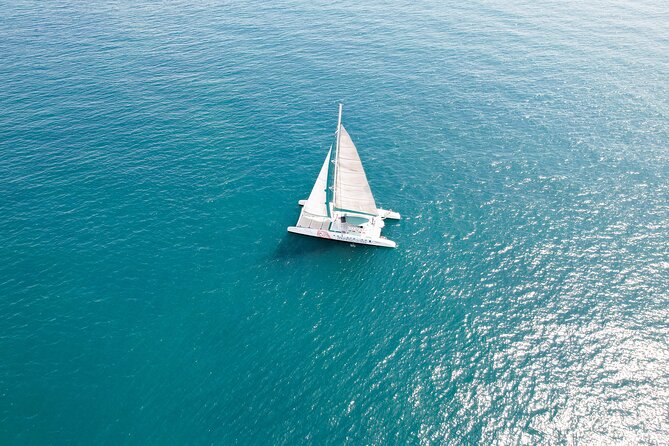 A Day at Sea Aboard Catamaran Mundo Marino - Reviews and Ratings