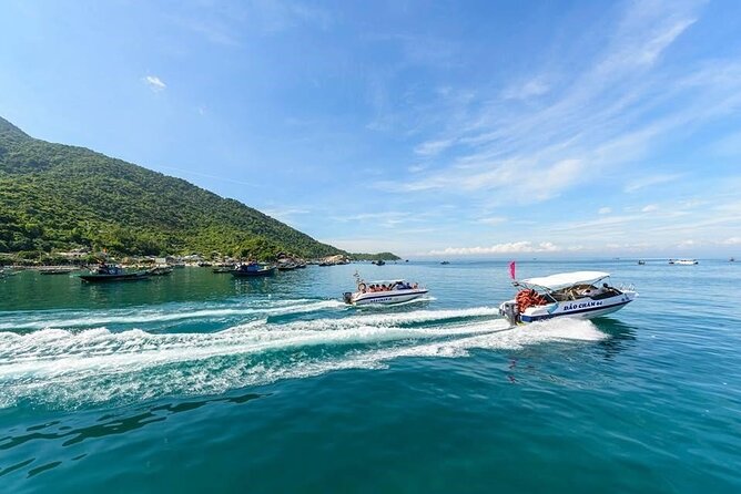 A Day Cham Island Snorkeling Activity - Itinerary and Activities