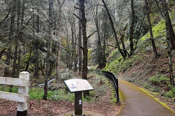 A Full Day of Wonder: Wine, Waterfalls, and Timberline Tour - Exploring the Timberline