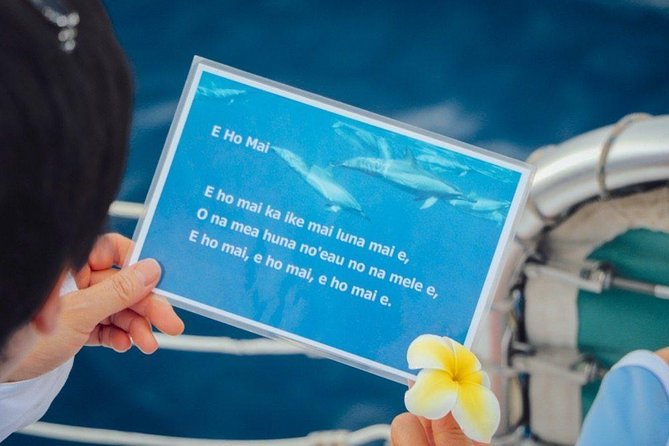 A Legal Private Dolphin Swim With Sea-Slide, Upto 15 Passengers - Payment and Cancellation Policies
