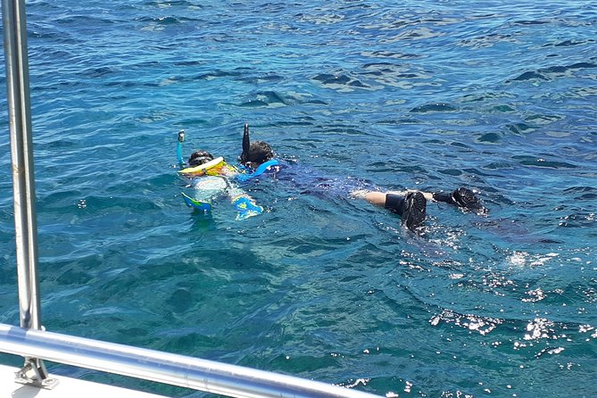 A Unique Private Snorkel Tour of Key Largo - Cancellation Policy