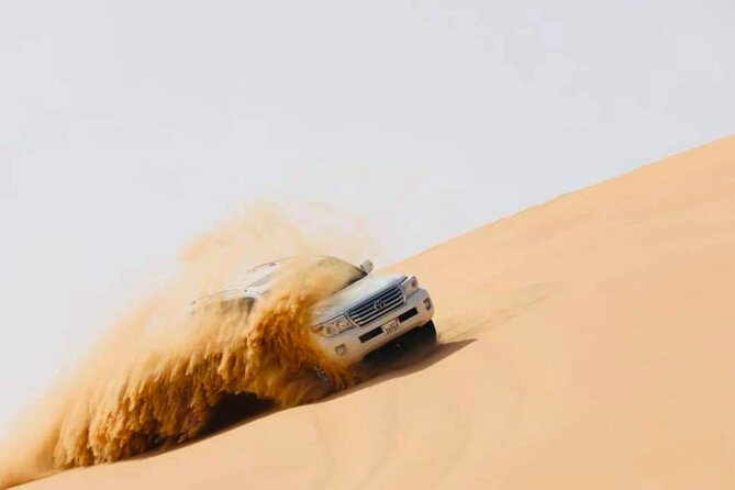 Abu Dhabi Evening Tour Desert Safari BBQ Camel Ride and Live Show - Camel Ride Adventure