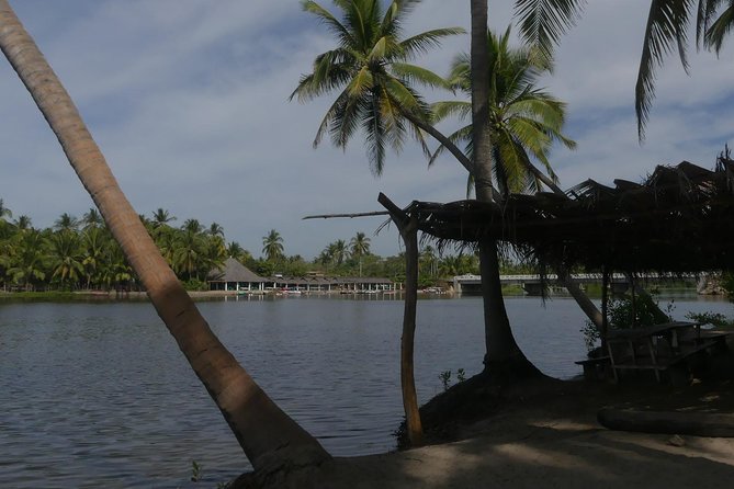 Acapulco to Tres Palos Lagoon, Boat Ride Tour Including Lunch - Traveler Photos