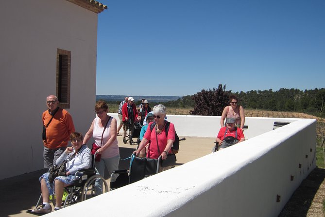 Accessible Valencia: Private, Accessible Wine Tour With Lunch - Common Questions