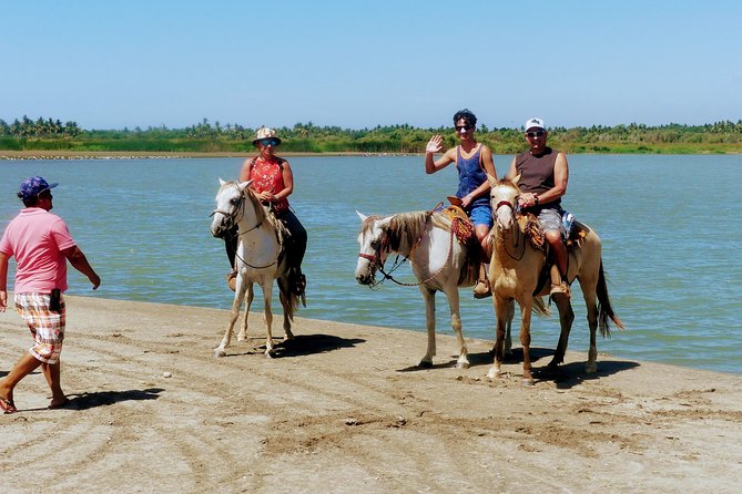 AfroMex Village Beach Horseback Ride -Crocs - Divers & City Tour - Availability and Accessibility Information