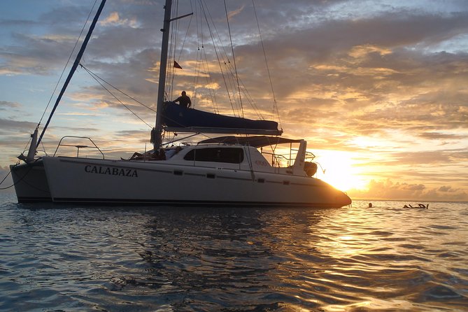 Afternoon Luxury Catamaran Sailing and Charter Cruise From Bridgetown - Good To Know
