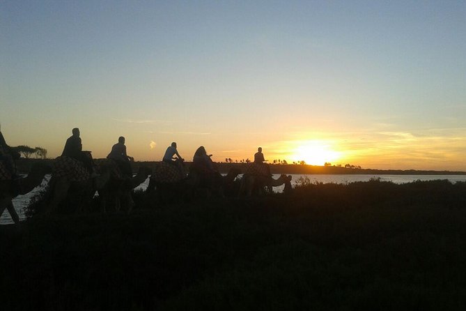 Agadir Camel Riding Sunset and Dinner( Barbecue) - Tour Details