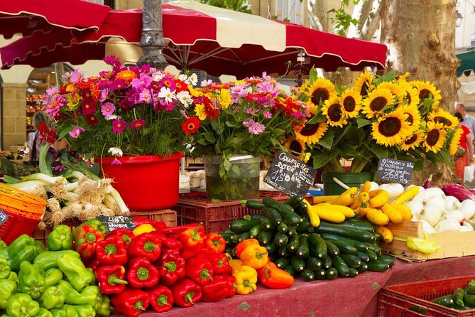 Aix-En-Provence Private Guided Tour - Reviews and Ratings