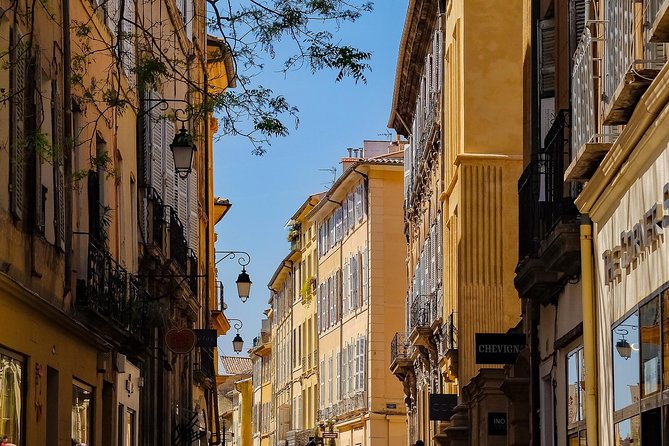 Aix-en-Provence: Private Walking Tour - What to Expect