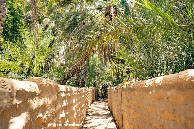 Al Ain Full Day Trip From Abu Dhabi With Lunch - Positive Reviews