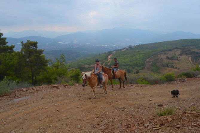 Alanya 3 Hour Horse Back Riding - Common Questions