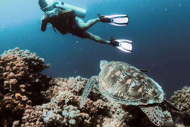 Alanya Scuba Diving Tour With Free Hotel Transfer - Age Restrictions and Group Size