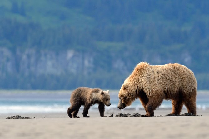Alaska 9-Day National Park Adventure  - Anchorage - Common Questions