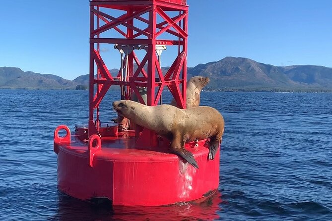 Alaska Marine Fast Boat Adventure - Traveler Photos