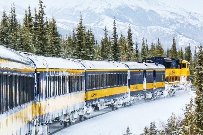 Alaska Railroad Aurora Winter Anchorage to Fairbanks One Way - Wildlife Sightings