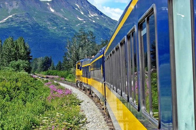 Alaska Railroad Denali to Anchorage One Way - Background