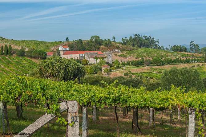 Albariño Private Wine Tour From Santiago De Compostela - Local Furancho Lunch Stop