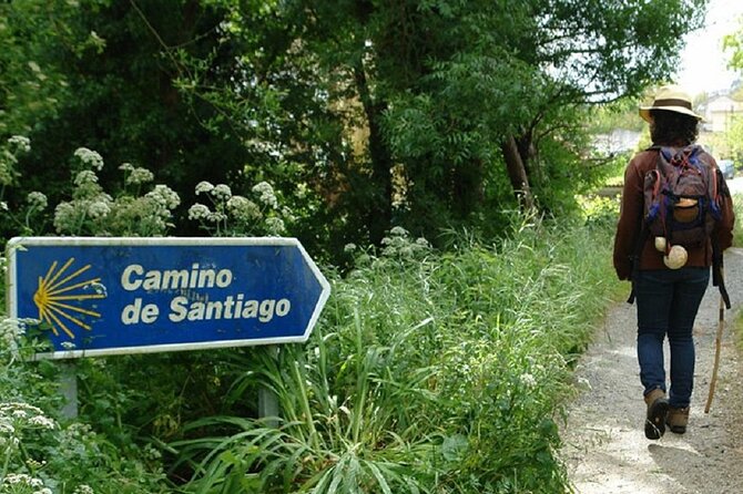 Albariño Wine Tour Galicia and Portugal - Lunch Experience