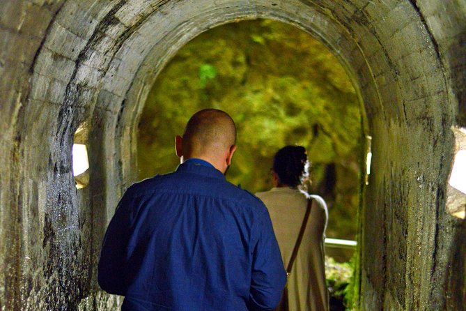 Algar Do Carvão Express: Half Day Tour - Background