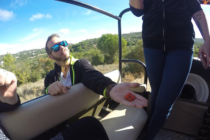 Algarve Safari - Full Day Tour From Albufeira W / Lunch - Tips for a Memorable Safari Experience