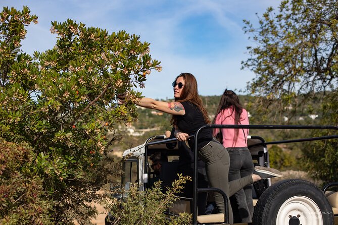 Algarve Safari - Half Day From Albufeira - What to Expect