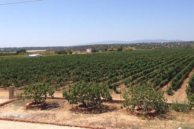 Algarve Wine Tour and Mountain Top Trip With Lunch or Dinner at Sunset Time - Customer Reviews