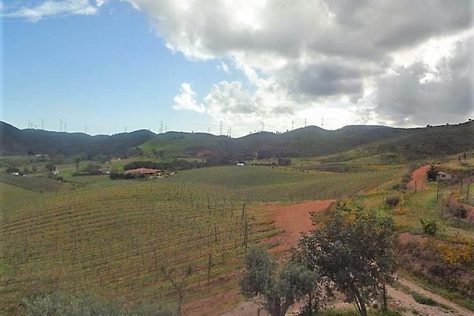 Algarve Wine Tour of Two Wine Estates - Taste Three Types of Wine at Each Location