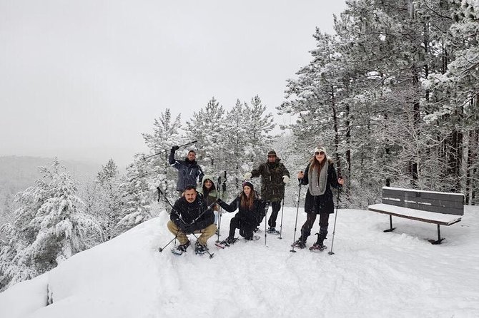 Algonquin Park Winter Adventure - Common Questions