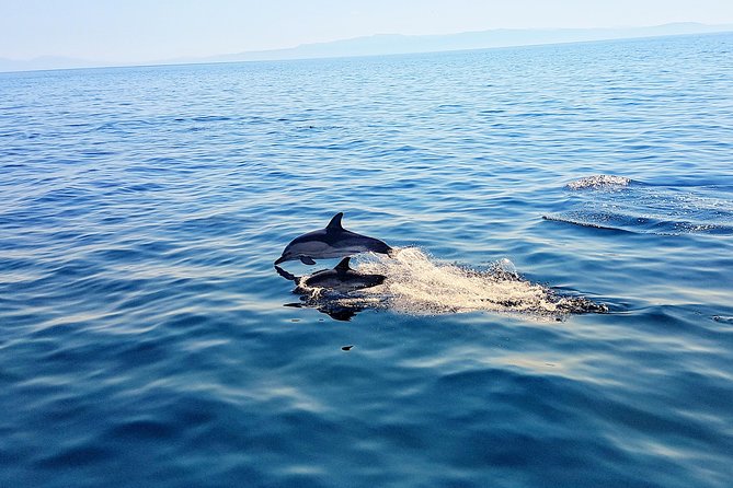 All-Inclusive Full-Day Cruise & Lunch - Scenic Views and Photo Opportunities