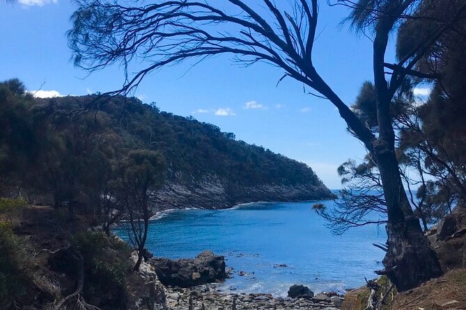 All Inclusive Private Bruny Island Discovery Tour - Traveler Experience