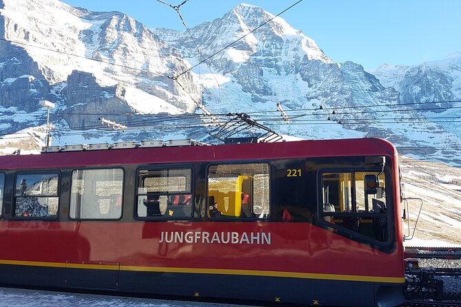 Alpine Majesty: From Basel to Jungfraujoch Exclusive Private Tour - Pickup and Group Requirements