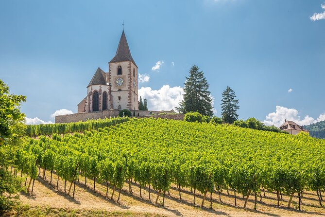Alsace Full Day Wine Tour From Colmar - Departure Information