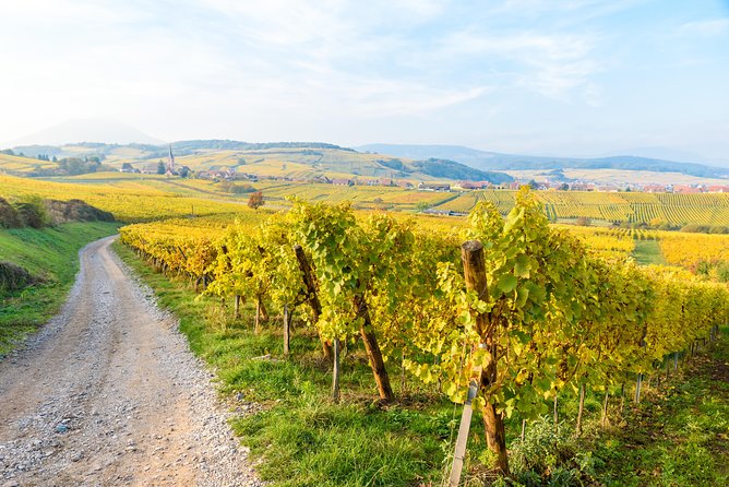 Alsace Half Day Wine Tour From Colmar - End Point and Cancellation Policy
