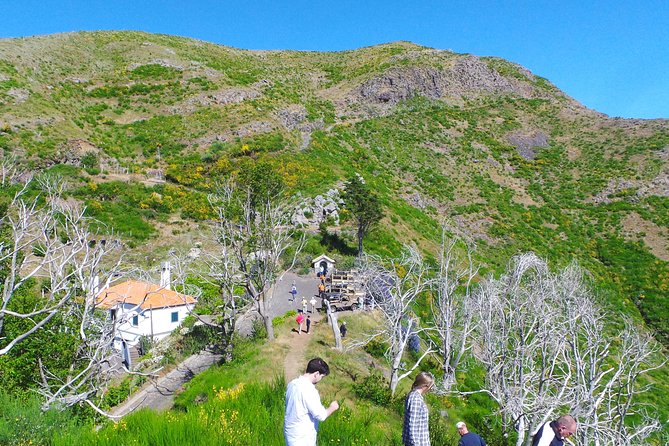 Amazing Skywalk, Madeira Wine Tasting and More... in 4x4 Half Day Tour - Customer Reviews and Testimonials